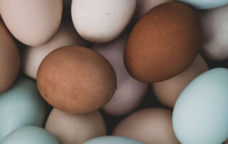 Propiedades del huevo, nutritivo y excelente para cocinar carnes - Carnicerías Herrero