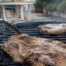 Secreto Duroc, cómo cocinarlo para que quede jugoso - Carnicerías Herrero